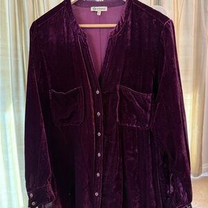Democracy Burgundy 1X Velvet Women's Top